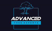 Advanced Tree Experts