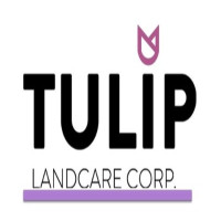 Tulip Landcare Corp | Professional Landscaping & Lawn Care Services