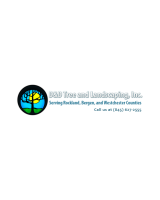 D&D Tree & Landscaping Inc