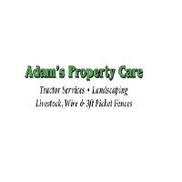 Expert Landscaping in Wilmington | Professional Lawn & Garden Services