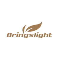 Bringslight