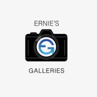 Professional Headshots That Make an Impression – Seattle, WA