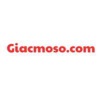 Giải Mã Số Học