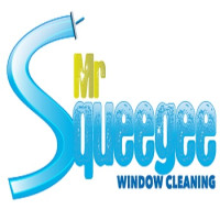 Mr Squeegee Window Cleaning