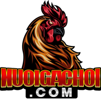Nuôi gà đá
