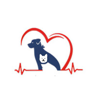 Pet Vet Go Hospital - Vaishali Nagar
