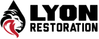 Lyon Restoration