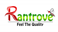 Raw honey online