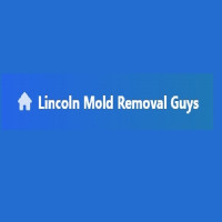 Lincoln Mold Removal Guys