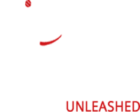 All Dogs Unleashed Dog Training Denver
