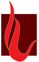 Ummah Catering – Expert Halal Catering for Every Occasion