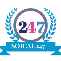 soicau247chinhxac