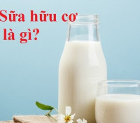 suahuuco