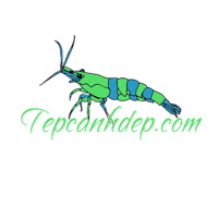 tep canh dep