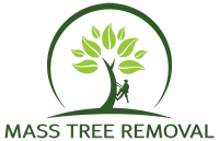 Mass Tree Removal