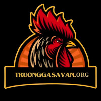 Trường Gà Savan - Trực Tiếp Đá Gà Đỉnh Cao Hay Nhất Việt Nam