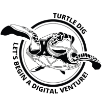 Turtle Dig IT Solution Company