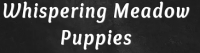 Whispering Meadow Puppies
