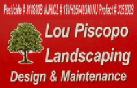 Lou Piscopo landscaping