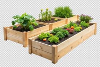 Best Self Watering Planters