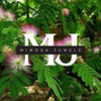 Mimosa Jungle