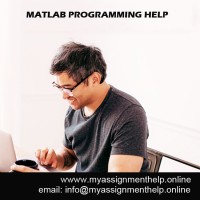Matlab Programming Assignment Help Online