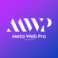 Web Development Agency - Meta Web Pro
