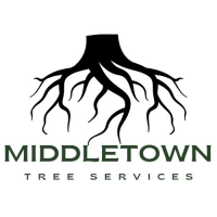 BoldRoute Middletown Tree Services
