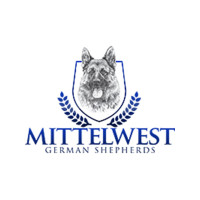 Mittelwest German Shepherds