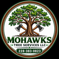 Welcome to Mohawks Tree Services LLC