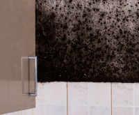 Marven Gardens Mold Inspections