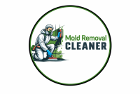 Mold Removal Cleaner