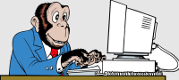 Monkey type