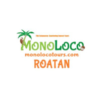 Mono Loco Tours – Tiki Catamaran Adventures in Roatán