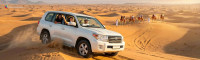 Morning Desert Safari