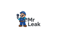 Mr. Leak - Water Damage Restoration