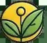 Mr. Naturalistic