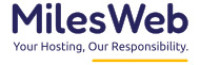 Web Hosting Company