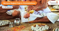 Kaal Sarp Dosh Puja at Trimbakeshwar