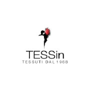 TESSin