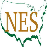NES Building Solution