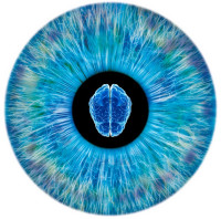 NeurOptics, Inc.