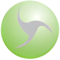 Boomerang Enterprises