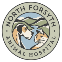 North Forsyth Animal Hospital