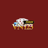 VN123