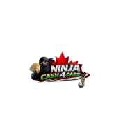 Ninja Cash 4 Cars