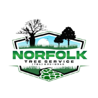 Norfolk Tree Service, LLC