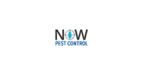 Now Pest Control Sydney
