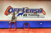 Off Leash K9 of Northern Virginia