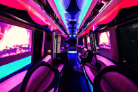 Party bus madison wi